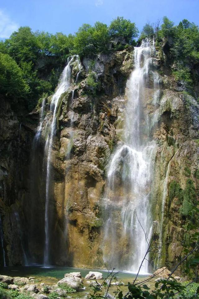 向上跳的香蕉